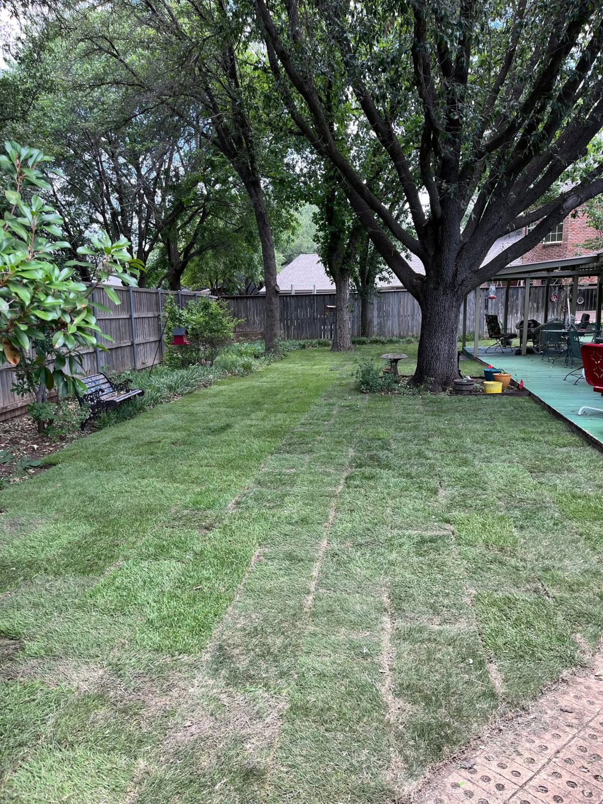 Healthy green residential lawn in Abilene