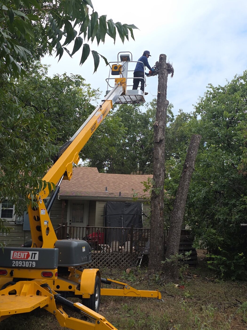 Tree removal using a lift around a residential property