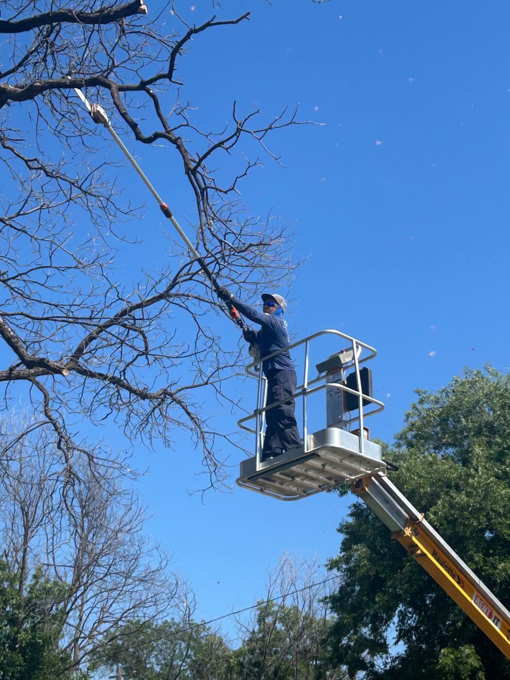 Cubbie Lawn Care trimming high branches from a lift