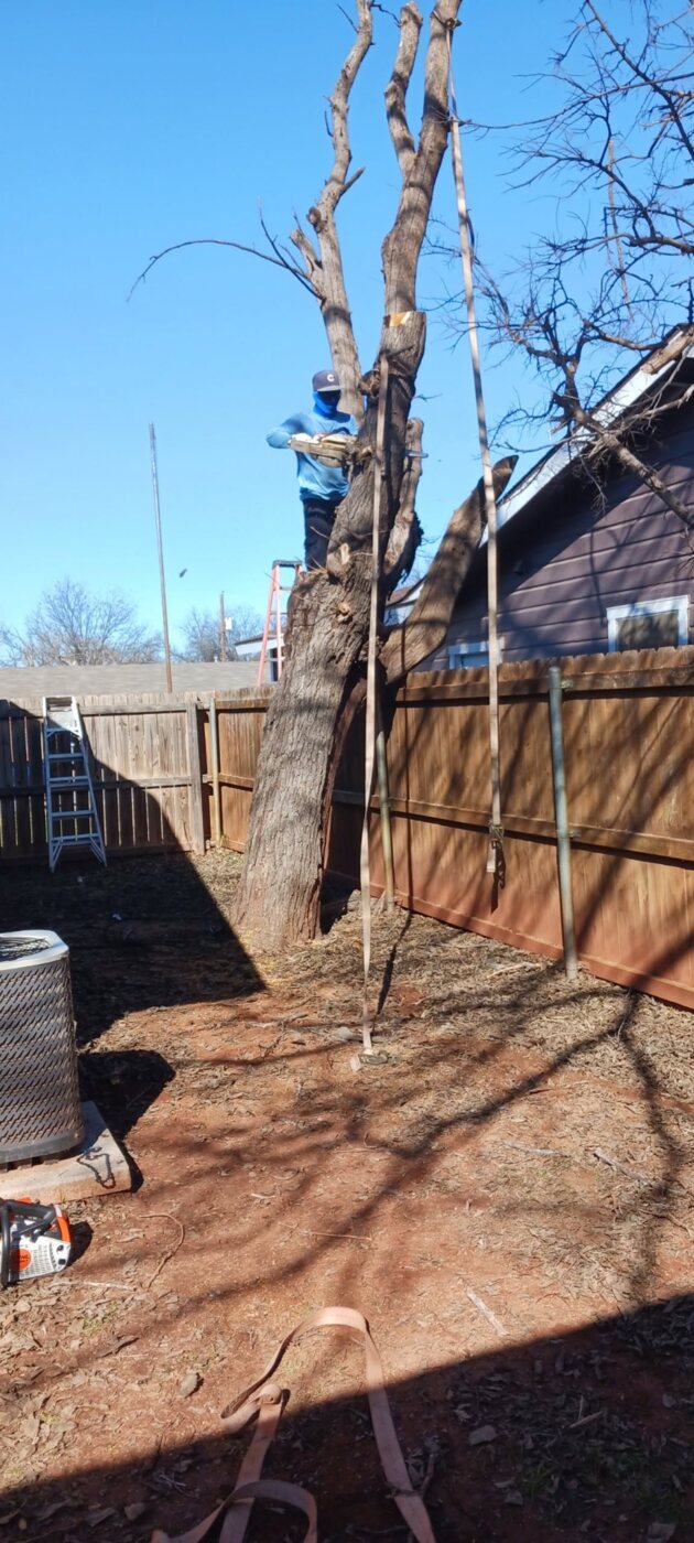 Cubbie Lawn Care performing tree removal beside an Abilene home